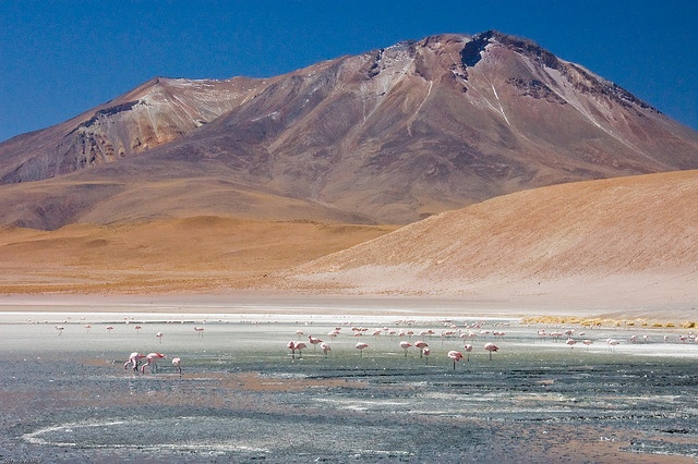 Ликанкабур, Боливия