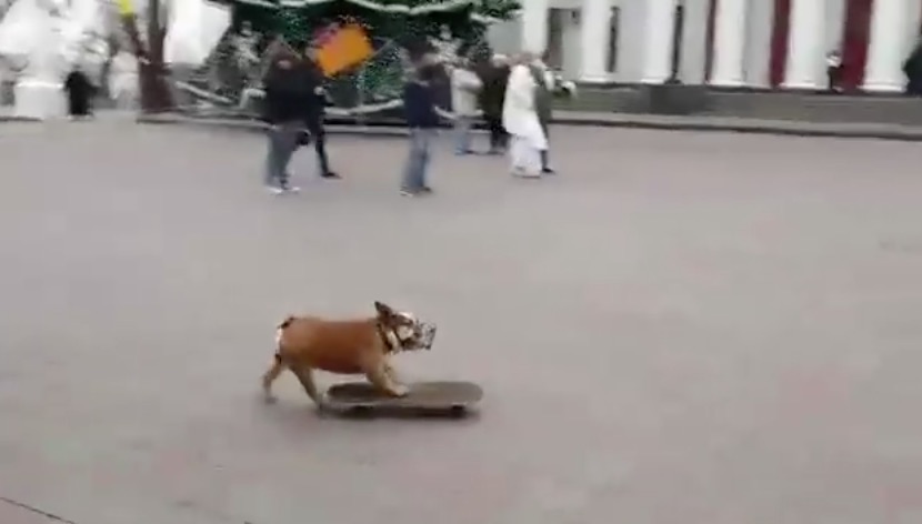 скриншот с видео