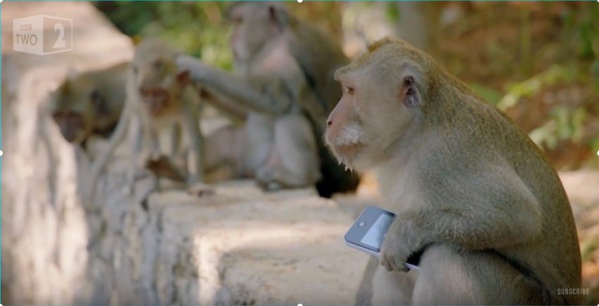 скриншот с видео